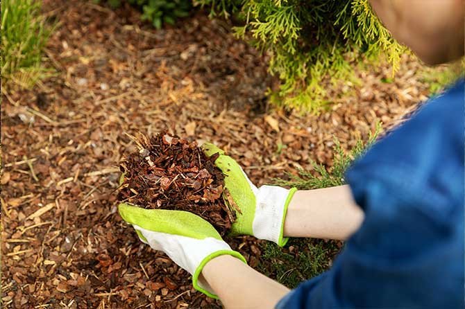 Mulching service