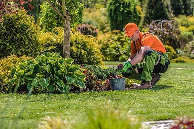 Weeding service